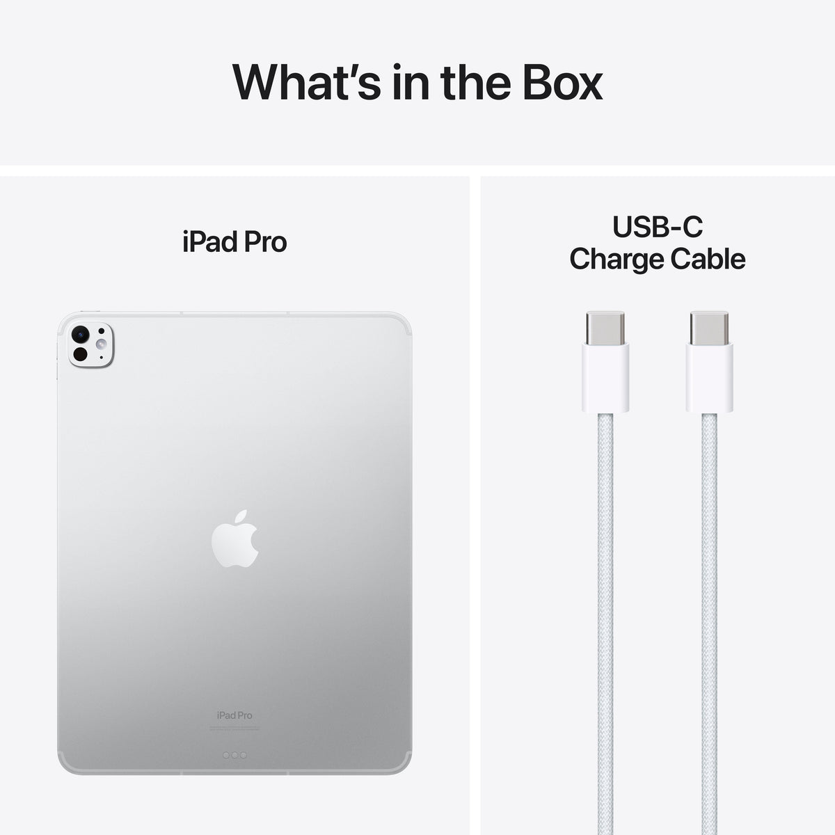 iPad_Pro_13_M4_Cellular_Silver_PDP_Image_Position_9__WWEN